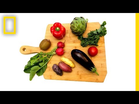 The Surprising Science of How We 