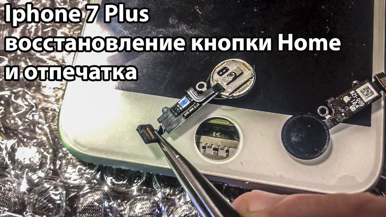 Iphone 7 plus не удалось активировать touch id | восстановление кнопки Home и отпечатка