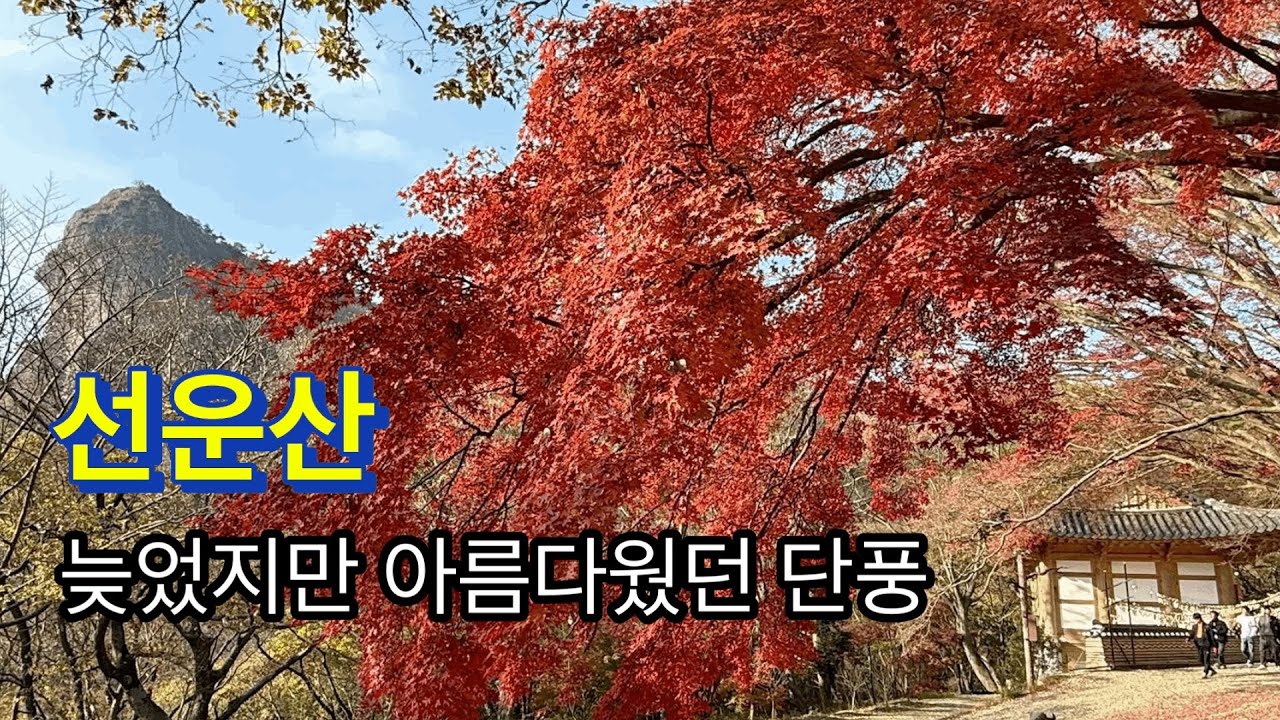 251123 / 선운산 / 늦었지만 아름다웠던 단풍 / 주차장-일주문-선운사-진흥굴-장사송-도솔암(마애불,내원궁)-용문굴-낙조대-천마봉-도솔암-선운사-일주문-주차장