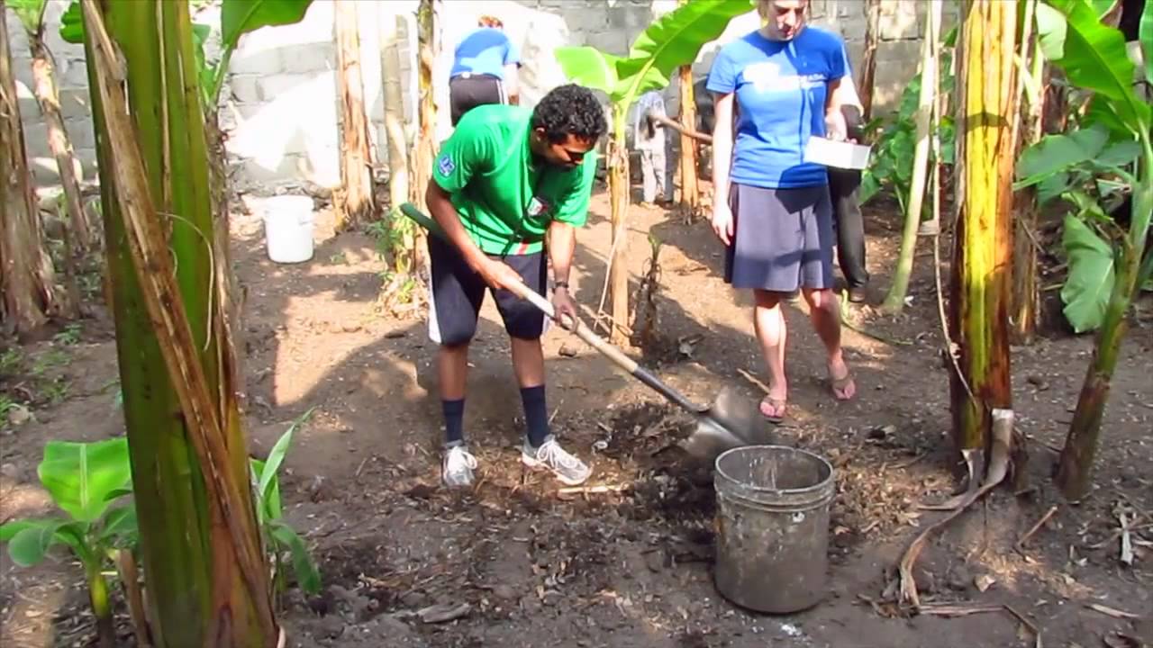 NWB Haiti Garden Pool Project