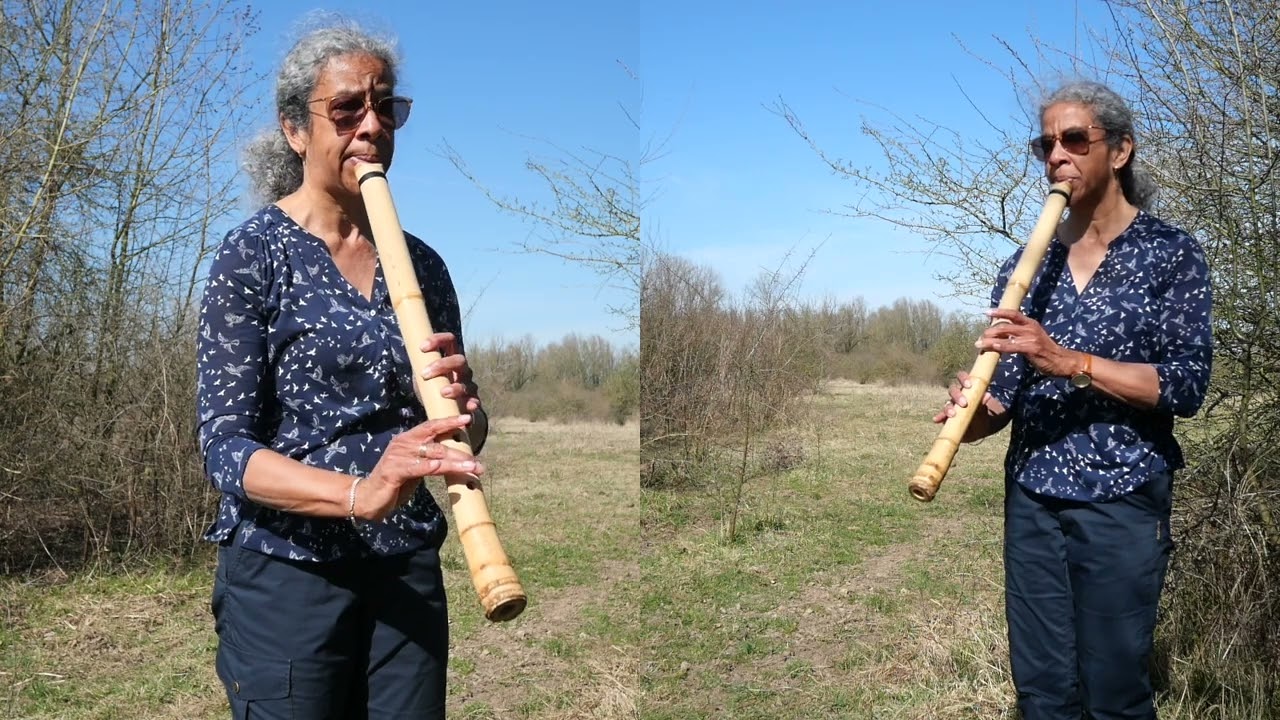 A Short Flute Meditation | Nyoi Chōshi Variations | Beach, Wind and Fields