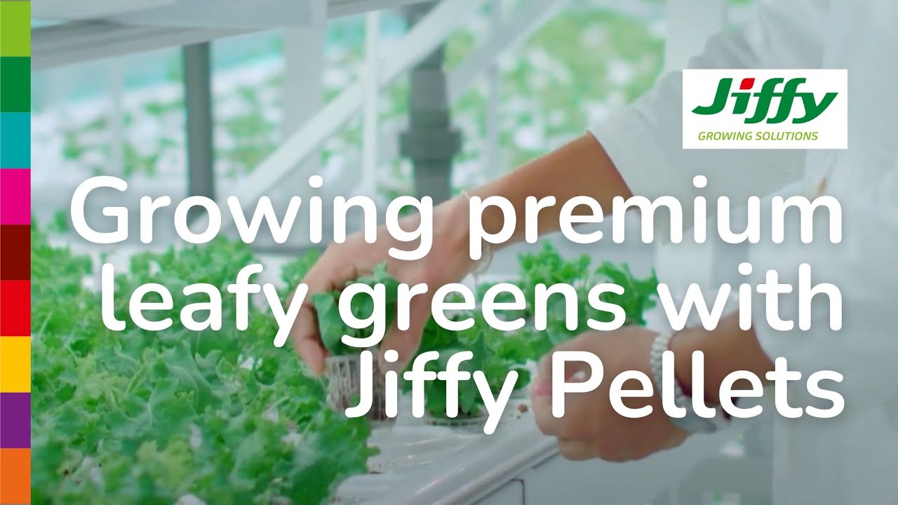 Jiffy Pellets for Leafy Greens in Vertical Farming, Sri Lanka