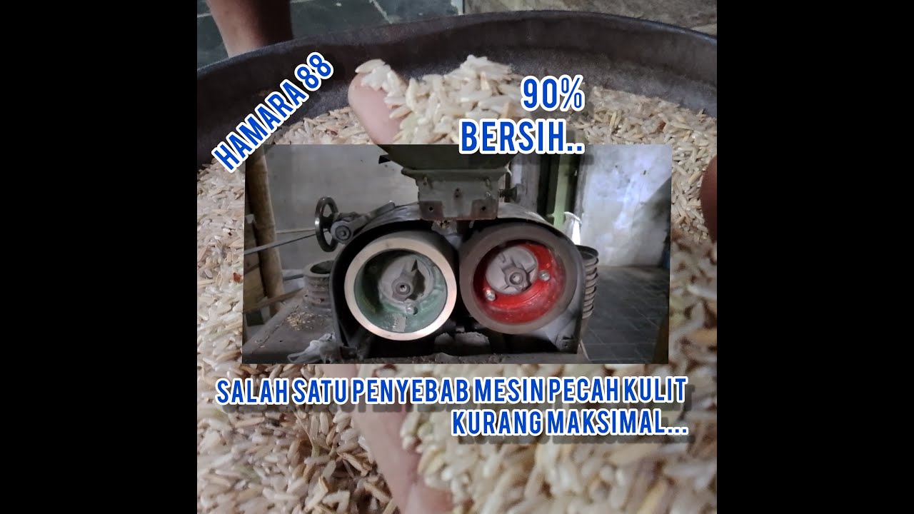Mesin pecah kulit proses penggilingan padi kurang maksimal karna penyebab di roll