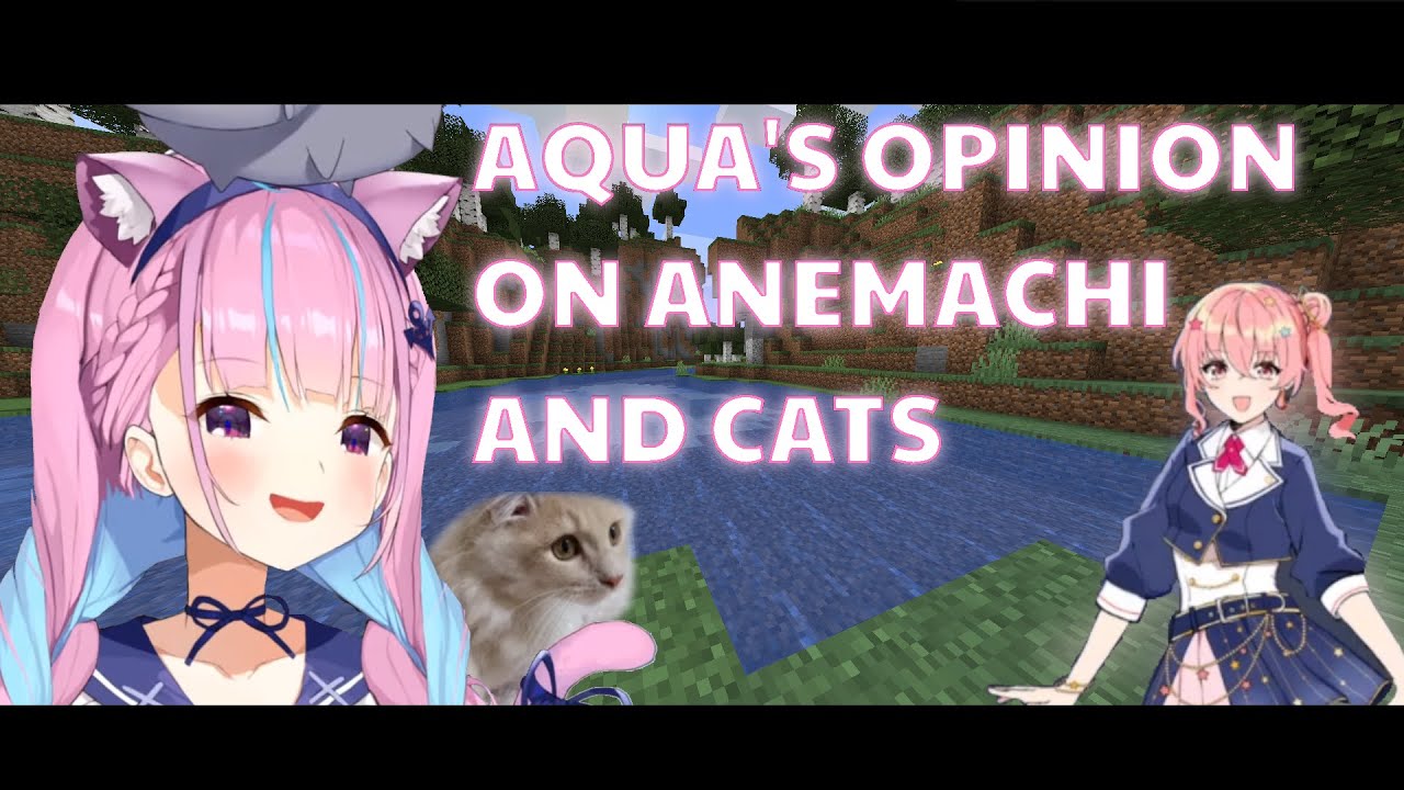 【Hololive/Aqua】Aqua's impression of Anemachi, and her love for cats【EN/Minecraft】
