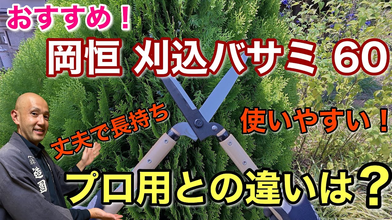 【迷ったらこれ！】プロ用との違いを徹底比較！岡恒刈込バサミ60は何がスゴイ？初心者でも扱いやすく、庭の剪定が楽しくなる一本をご紹介します。（案件なし）