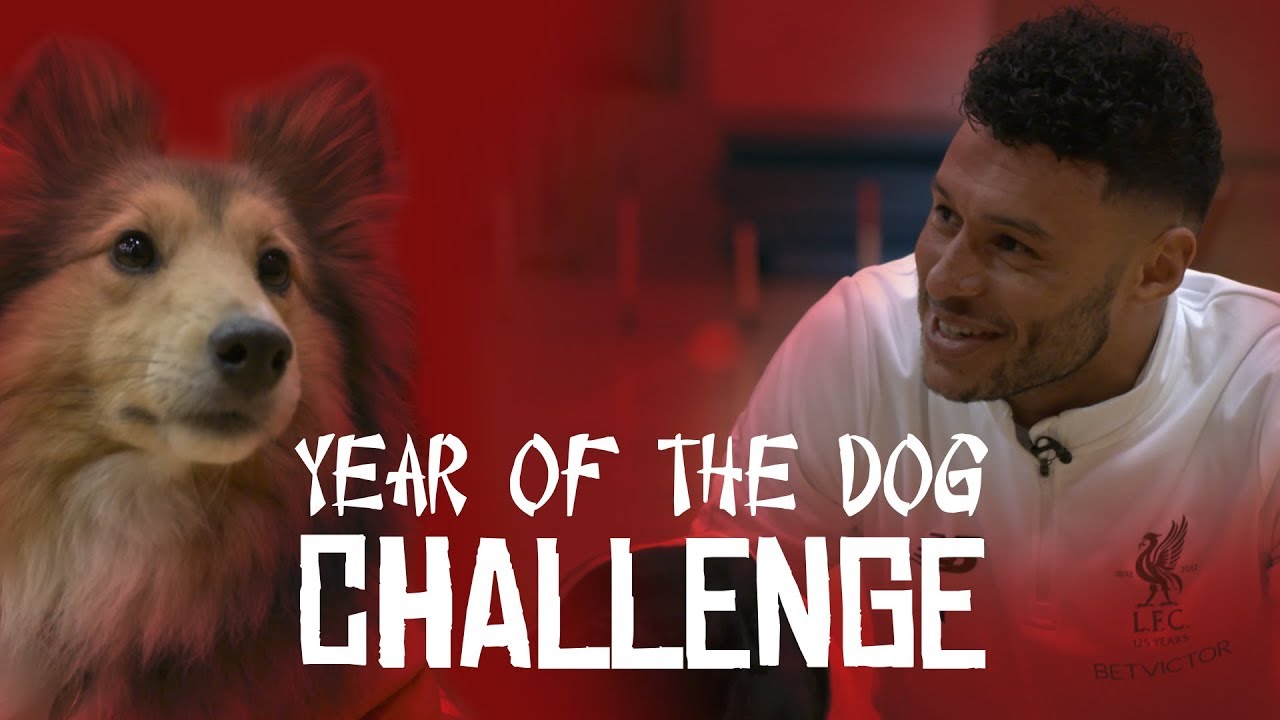 Chinese New Year | Liverpool stars take on 'Year of the Dog' challenge