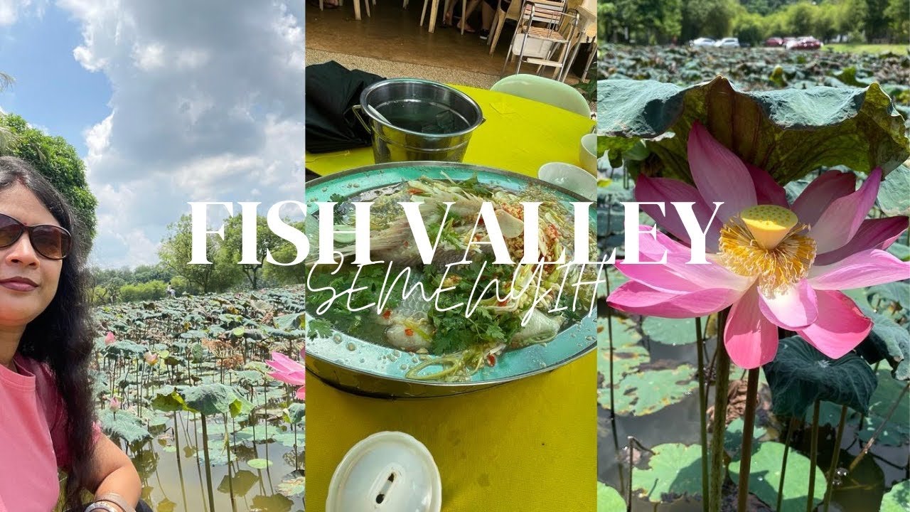 Semenyih fish valley, Selangor, Malaysia |Heaven of food lovers and nature lovers |