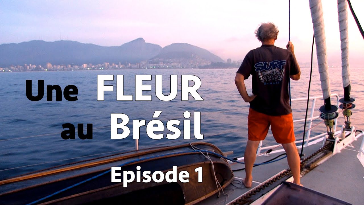 6.1 : Une Fleur au Brésil - Episode 1