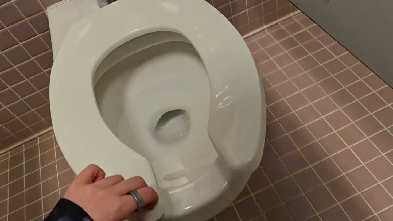 1950s Dusty Lilac Women's Restroom Walkthrough: Vintage American Standard Flush