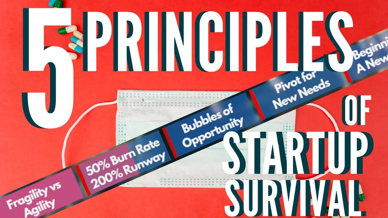 5 KEY PRINCIPLES LONDON STARTUPS USE TO SURVIVE [All 7 Interviews]