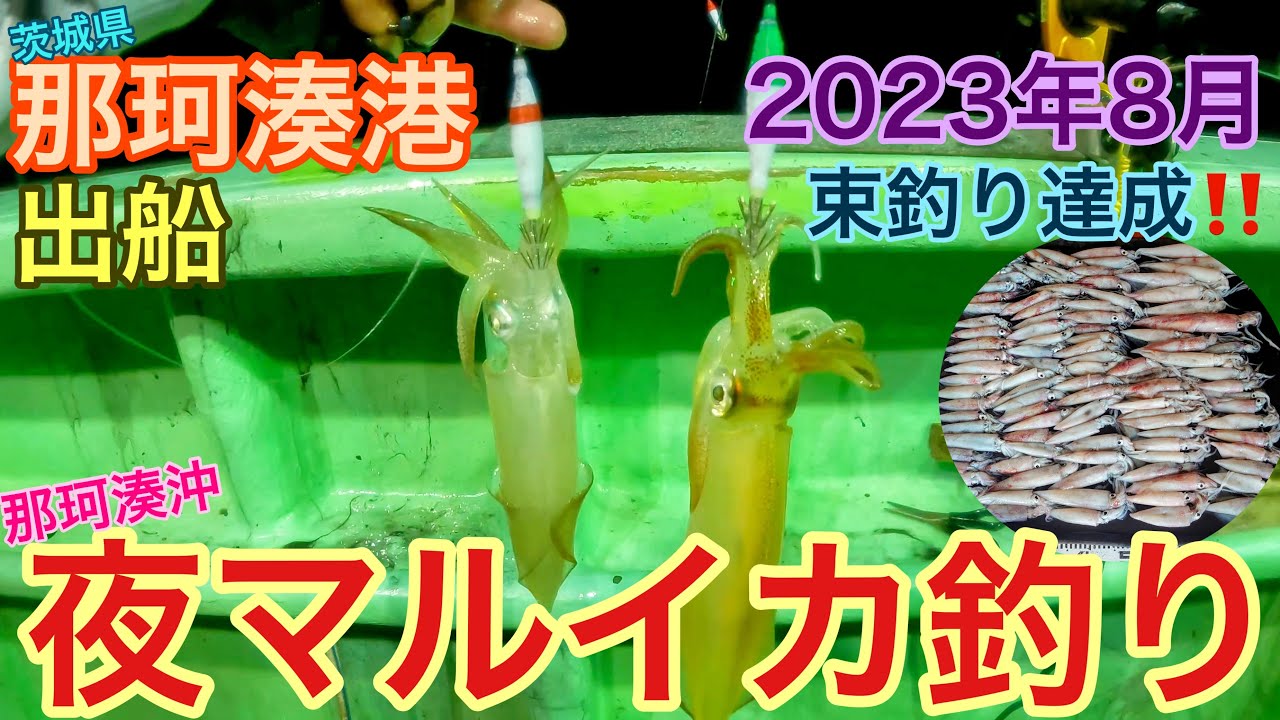 那珂湊で夜マルイカ釣り‼️ マルイカ 夜イカ 乗合船