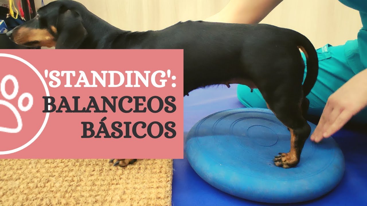 Ejercicios de 'standing': introducción a los balanceos y hemisaltos | CRAR BCN