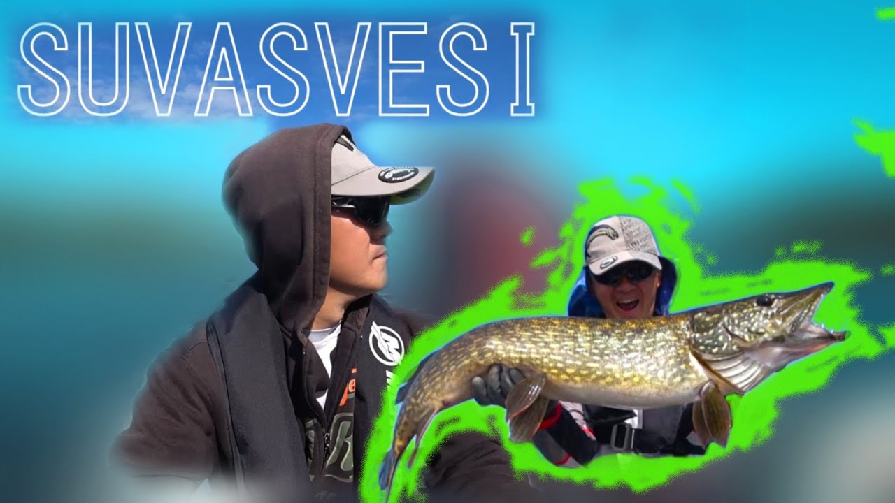 Трофейная рыбалка. Panoptix Livescope. Часть 1. Suvasvesi. Рыбалка в Финляндии