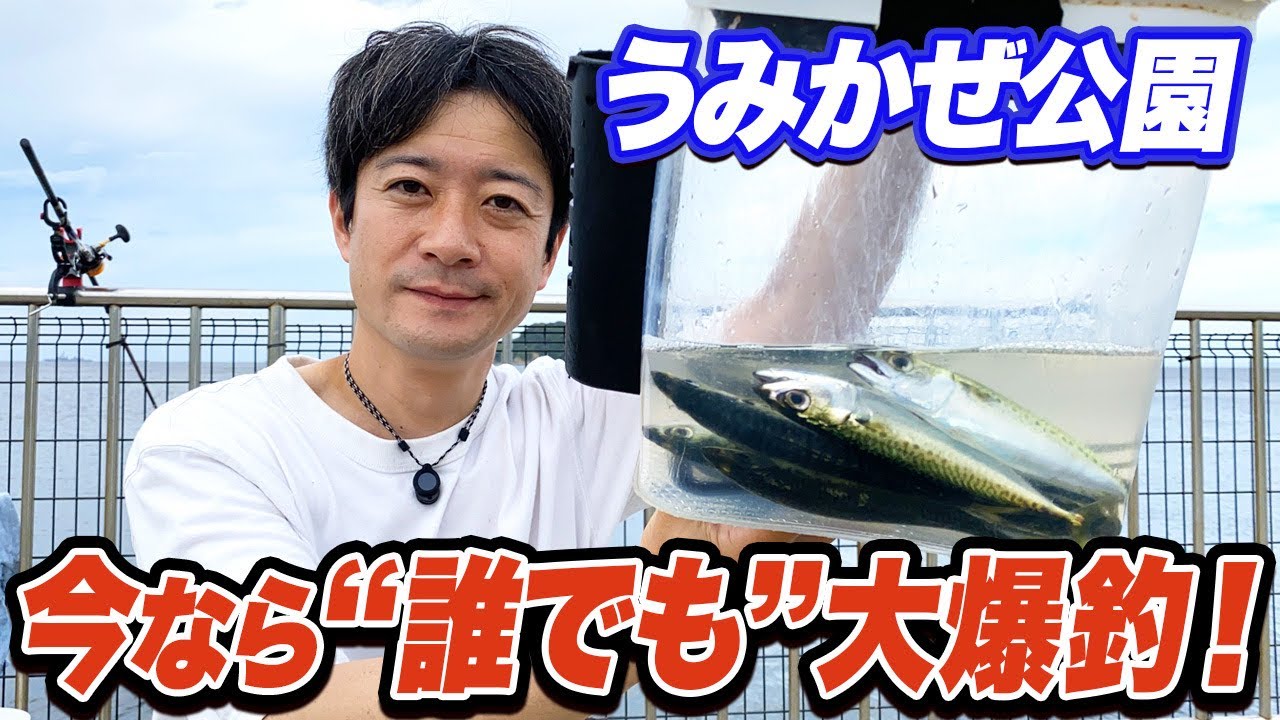 【横須賀うみかぜ公園】絶対に釣れる！サバ乱舞でサビキ釣りを楽しみたい初心者さんに最適！