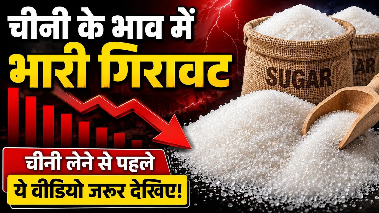 चीनी के भाव में भारी गिरावट, Sugar ka Wholesale Market Price,चीनी का होलसेल भाव, #sugar #chinikabhav