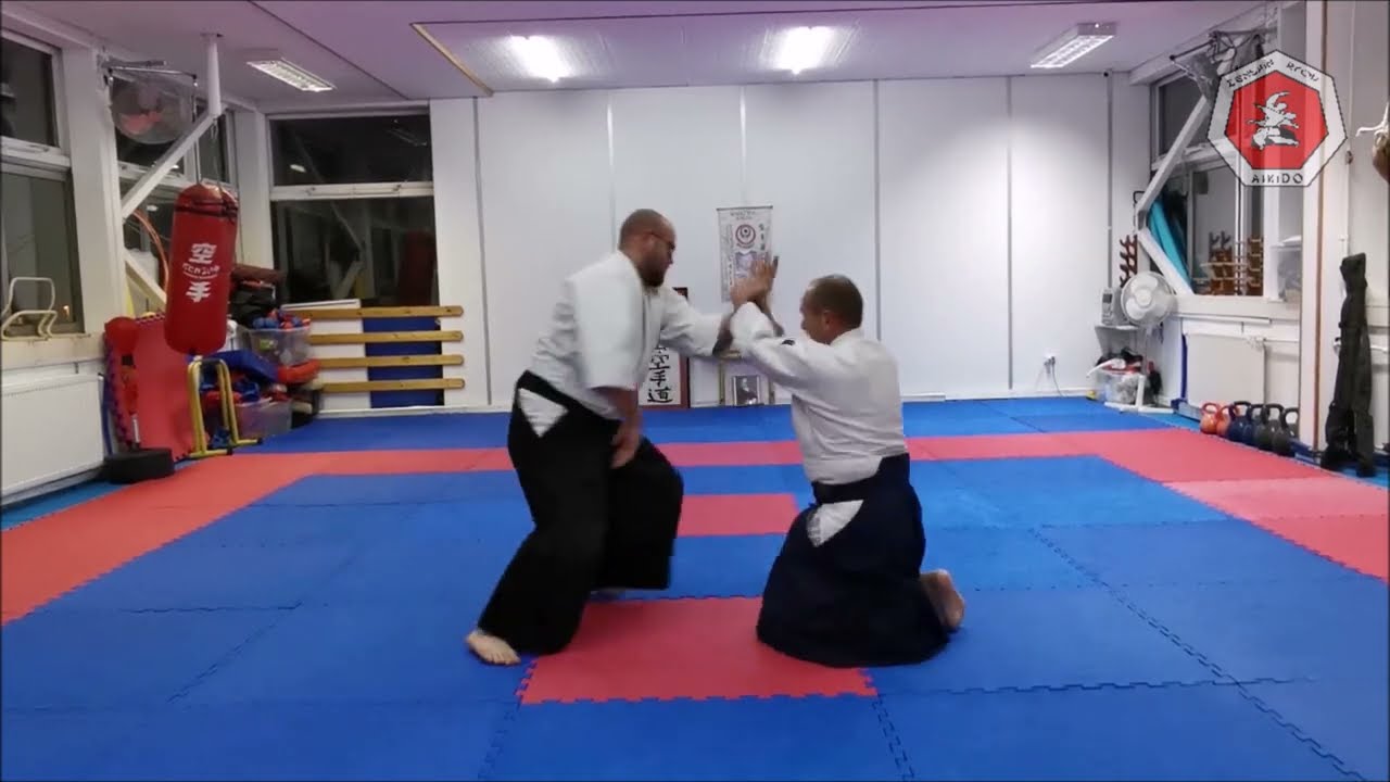Aikido Suwari waza Shomenuchi Kotegaeshi 3rd kyu