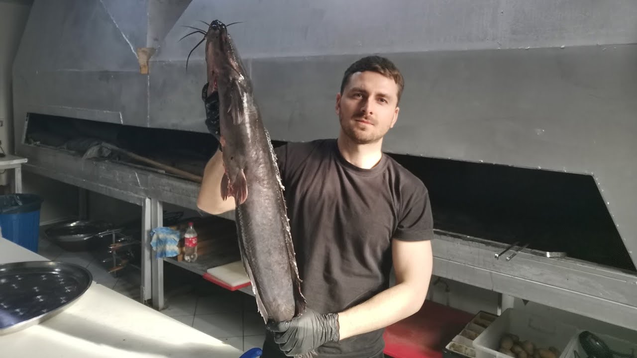 Laxa balığının doğranılması 