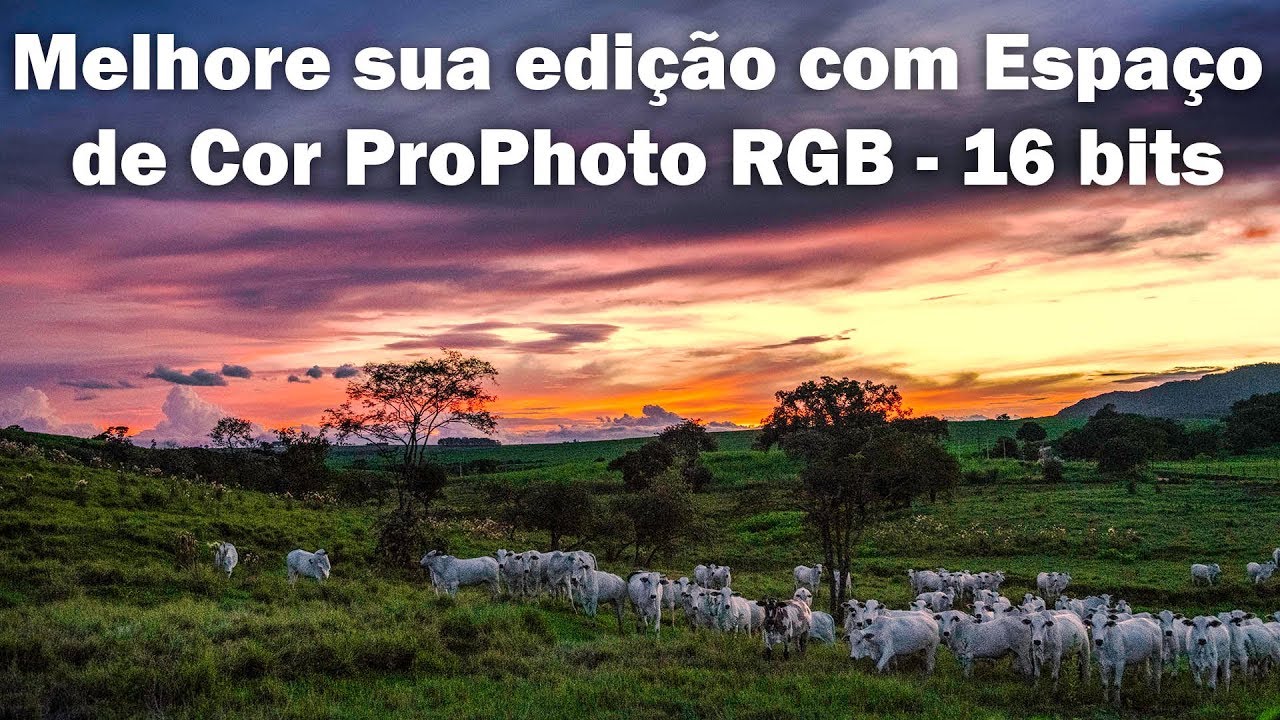 Melhore sua edi&ccedil;&atilde;o com Espa&ccedil;o  de Cor ProPhoto RGB - 16 bits
