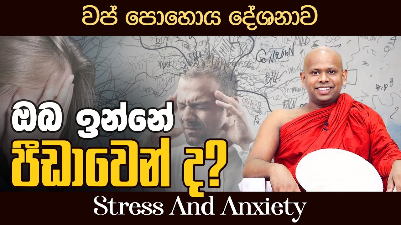 ඔබ ඉන්නේ පීඩාවෙන් ද? (වප් පොහොය දේශනාව) | Venerable Welimada Saddaseela Thero