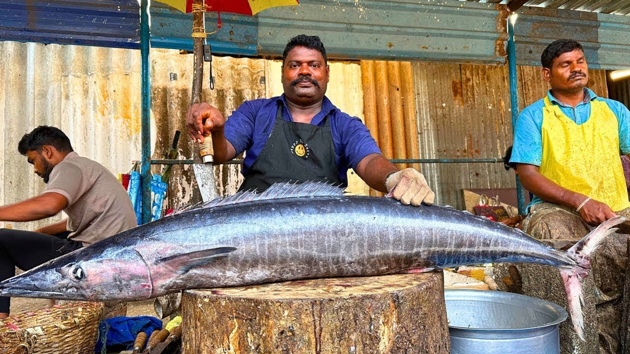 KASIMEDU 🔥 SPEED SELVAM | 14KG BIG ARA KOLA FISH CUTTING VIDEO | FF CUTTING 🔪