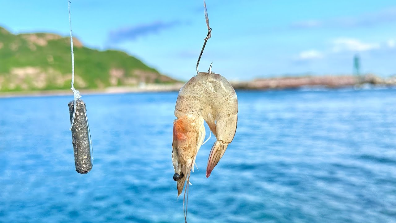 PESCA de ORILLA con TRONCHO de CAMARÓN