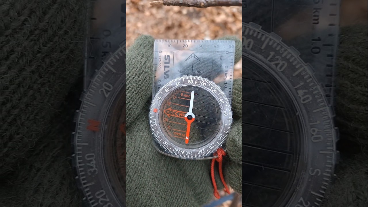 Jak za pomocą kompasu wyjść z lasu? Pokazuje 💪#survival #nawigacja
