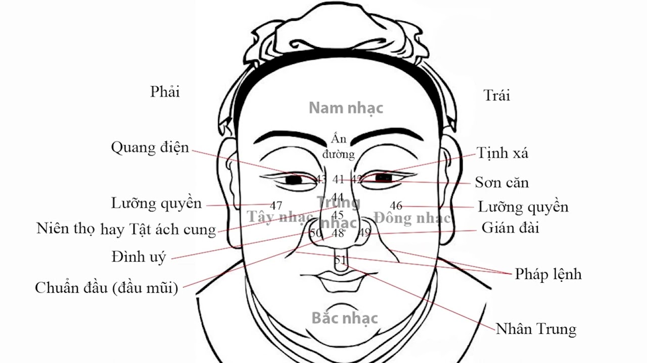 Tướng Mũi phần 3 - Mũi nữ nhân