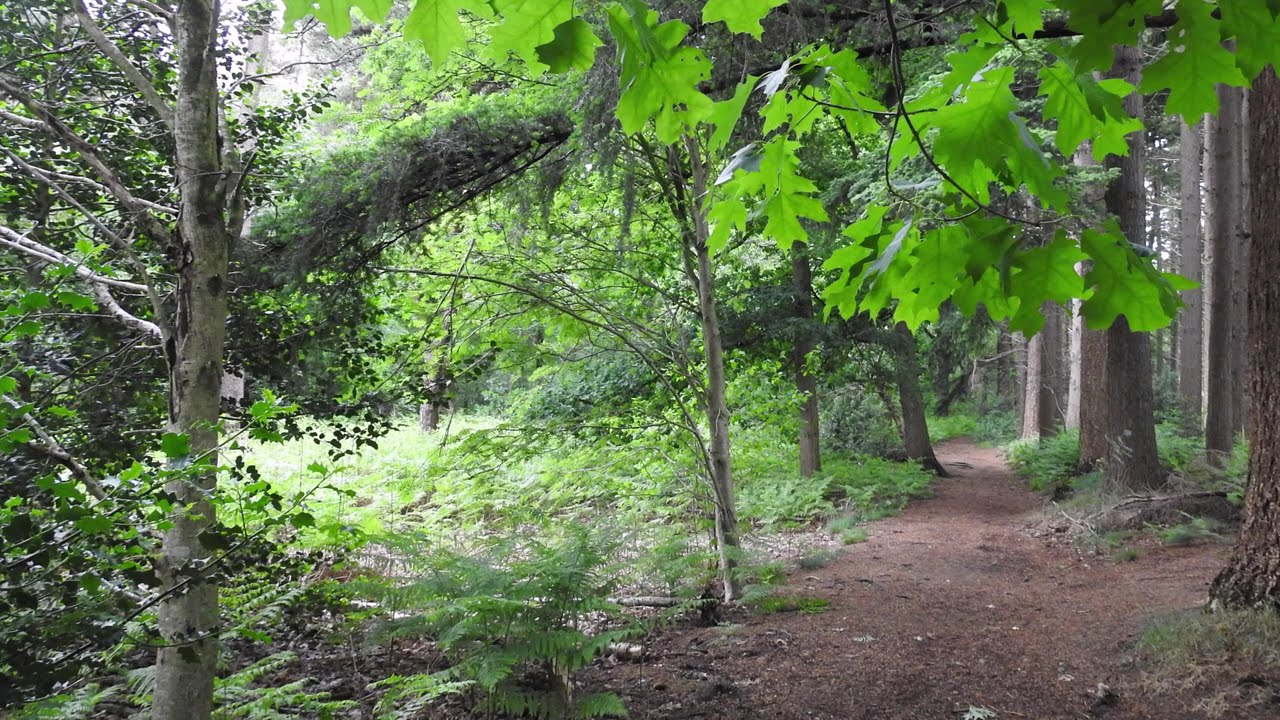 Wandeling Bielderweg Paradijs.