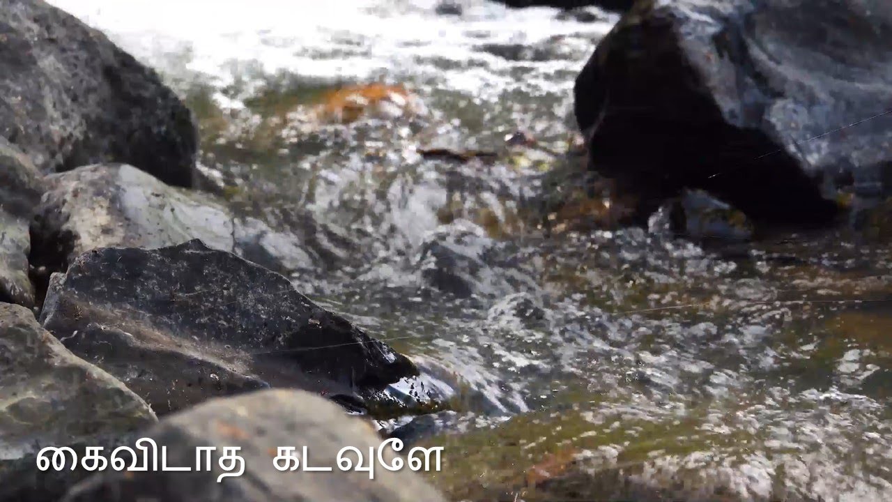 கைவிடாத கடவுளே | Kaividatha Kadavule | Tamil Christian Songs