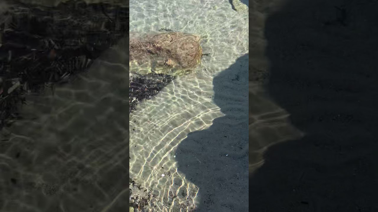 Il Mare Caraibico di Marina di Camerota