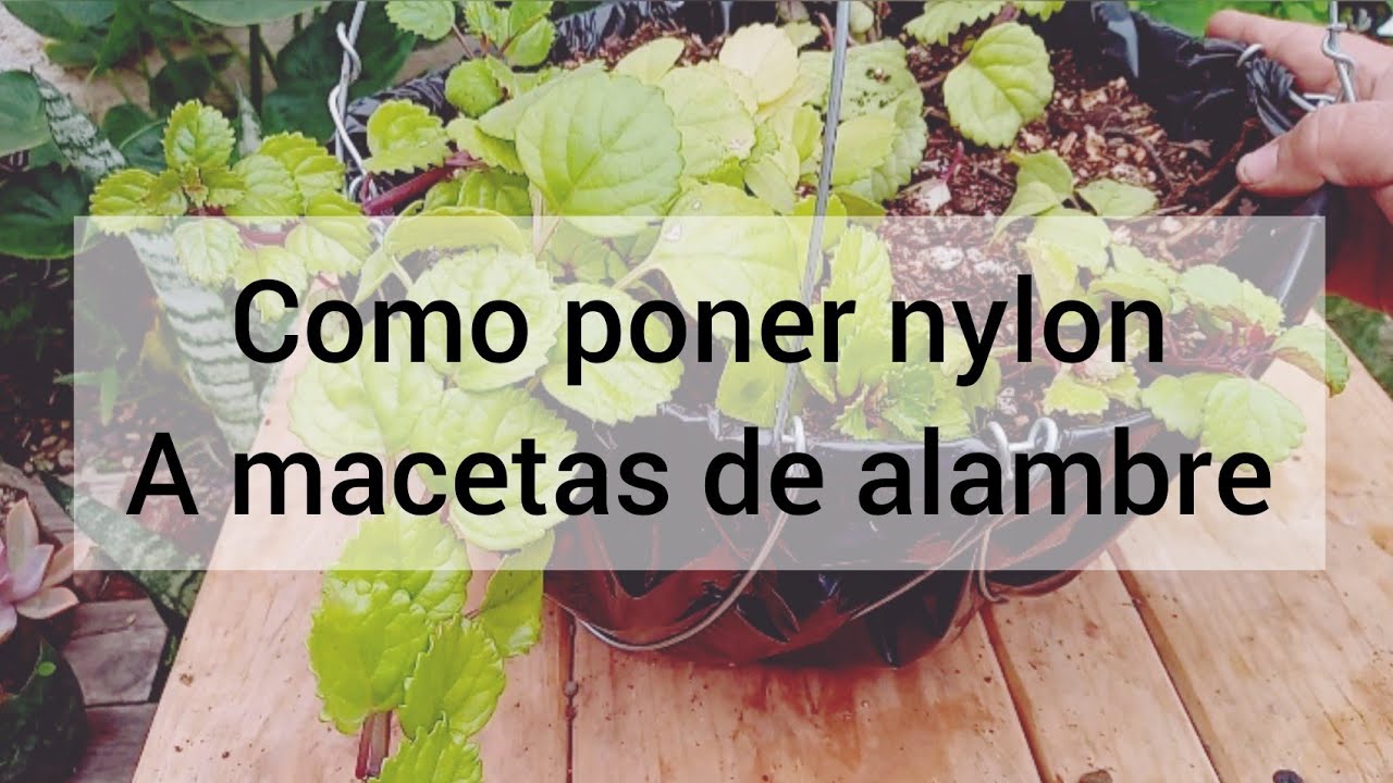 Cómo poner PLÁSTICO a Macetas de Alambre