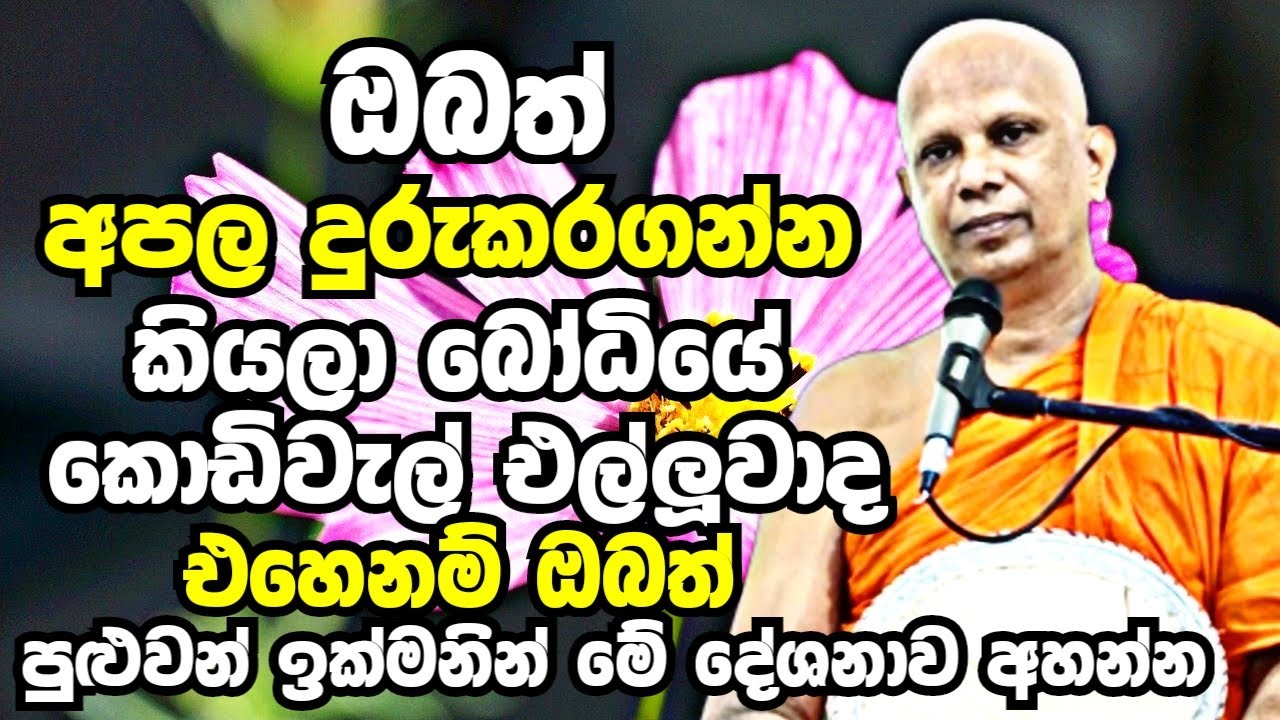 ඔබත් ඔබේ අපල දුරුකරගන්න කියලා ගිහින් බෝධියේ කොඩිවැල් එල්ලුවාද? | Malimbada Pannasara Thero Bana 2023