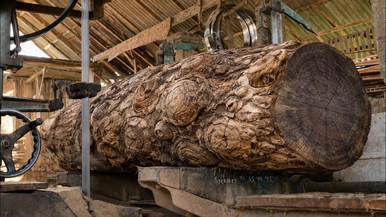 Black teak wood full of surprises