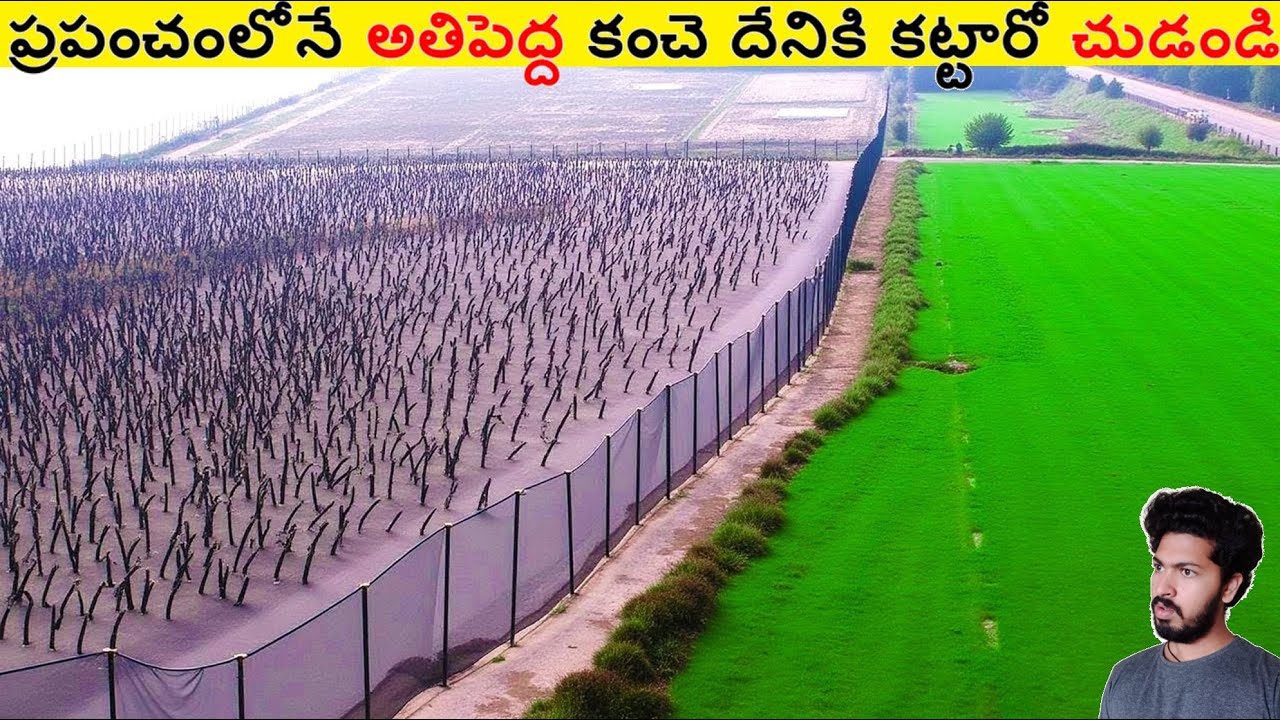 ప్రపంచంలోనే అతిపెద్ద కంచె దేనికి కట్టారో చుడండి || Amazing Facts Ever Listen Part 247 || ALK Facts