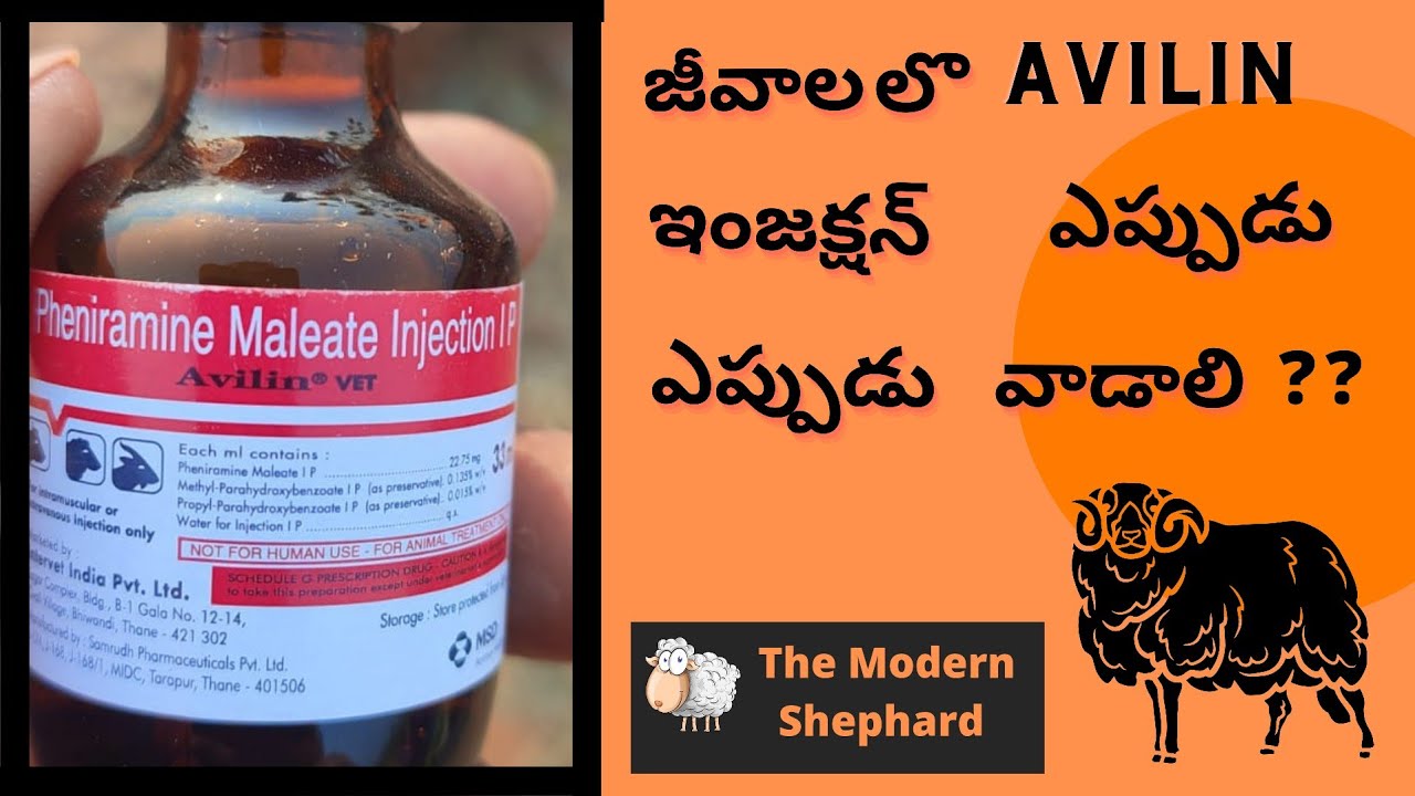 complete information about inj AVILIN -VET #telugu #sheepfarming #goatfarming #avilininjectionuses