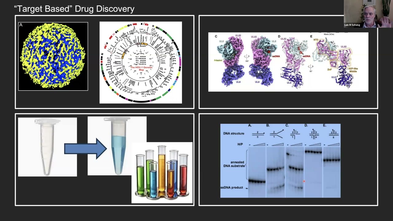 From Discovery to Cure: Understanding the Complex Path of (Antiherpetic) Drug Development.