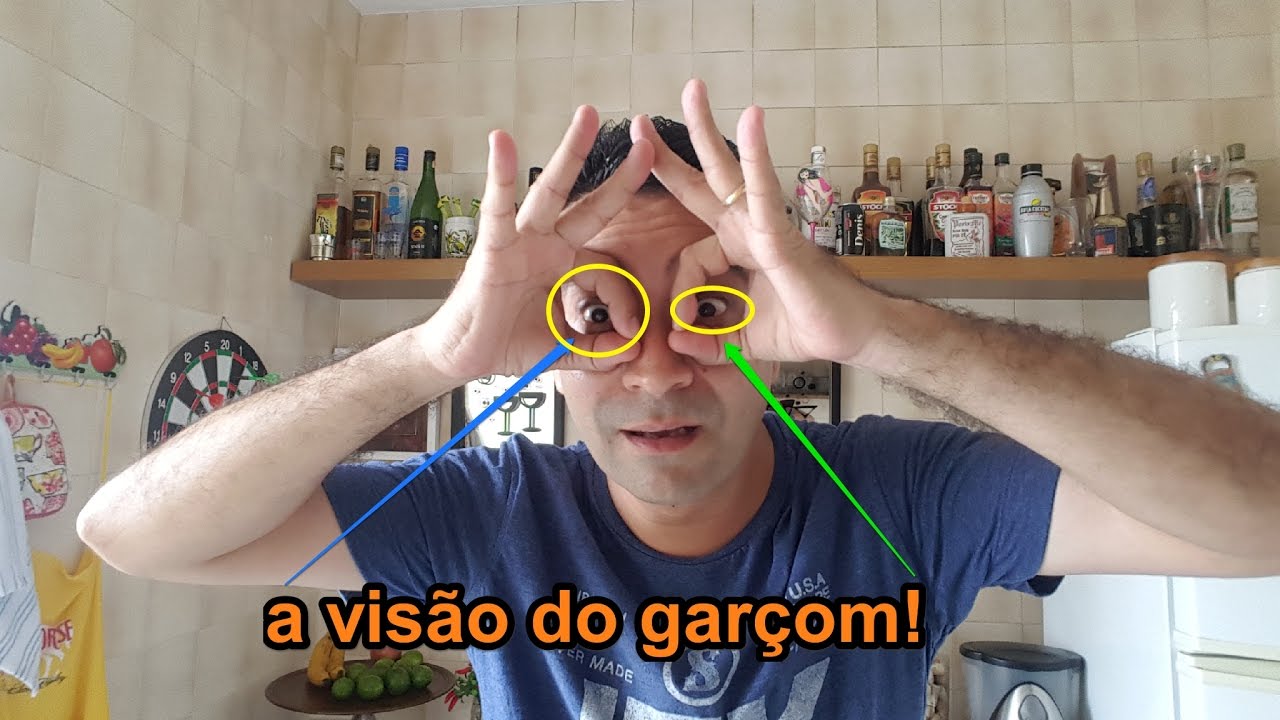 Curso de Garçom - A Visão do garçom - Denis de Moraes