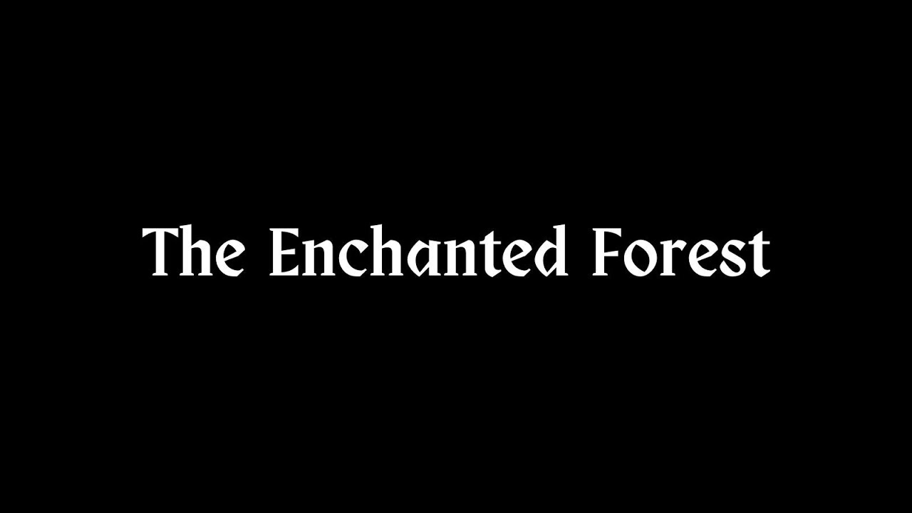 The Enchanted Forest by Nwando Ebizie and Tom Richards with The Louise Hamilton Trust