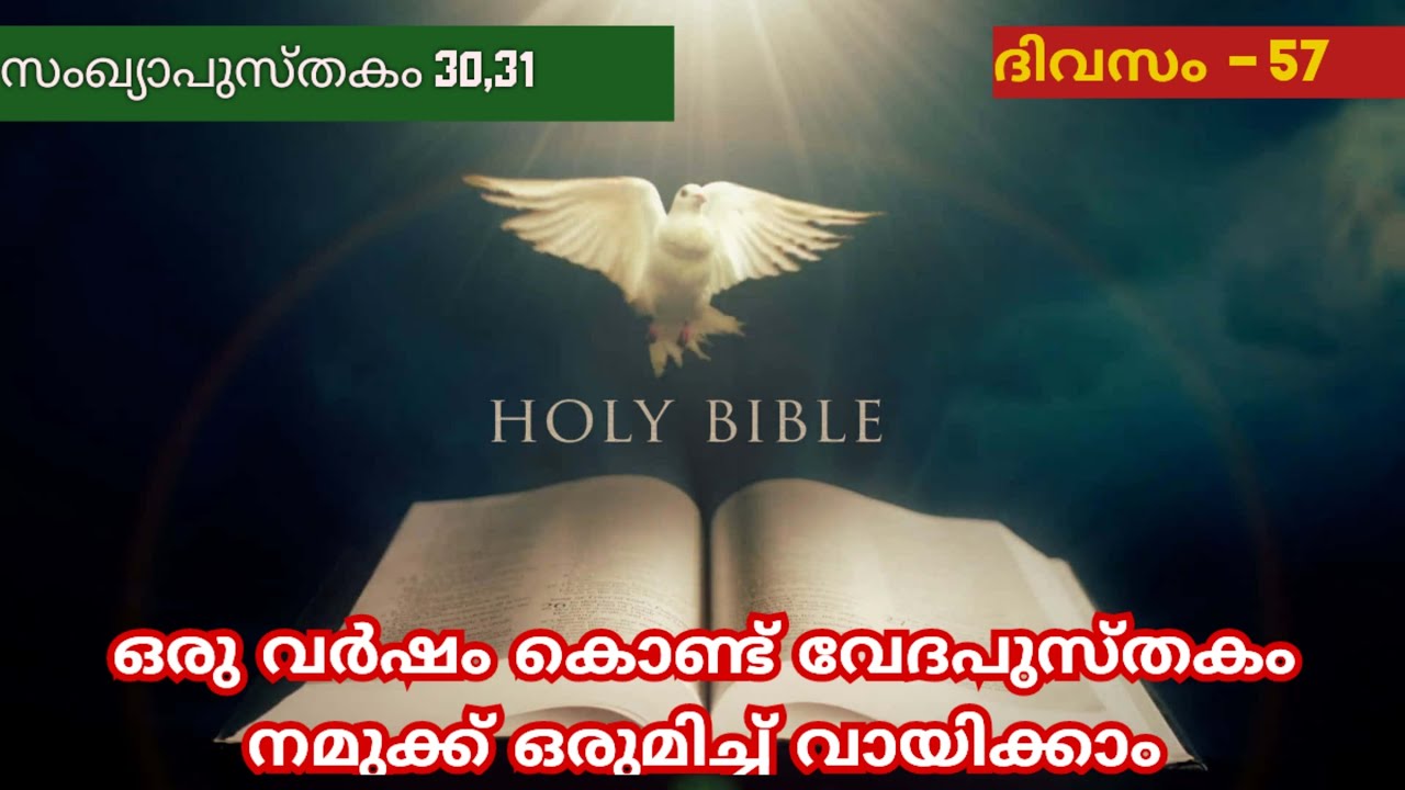 365 Day Bible Reading Malayalam | Day 57 | Numbers 30,31  | The Bible in a Year