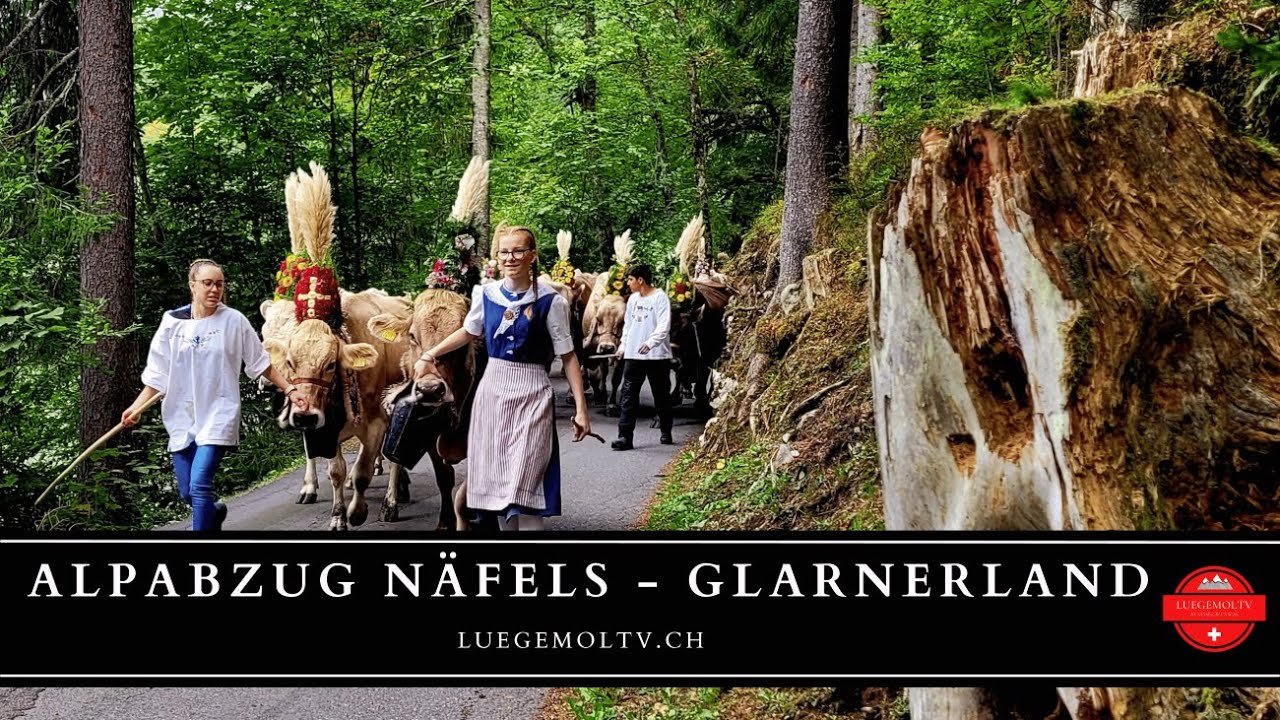 Alpabzug Näfels 2023 - Glarnerland - LuegemolTV