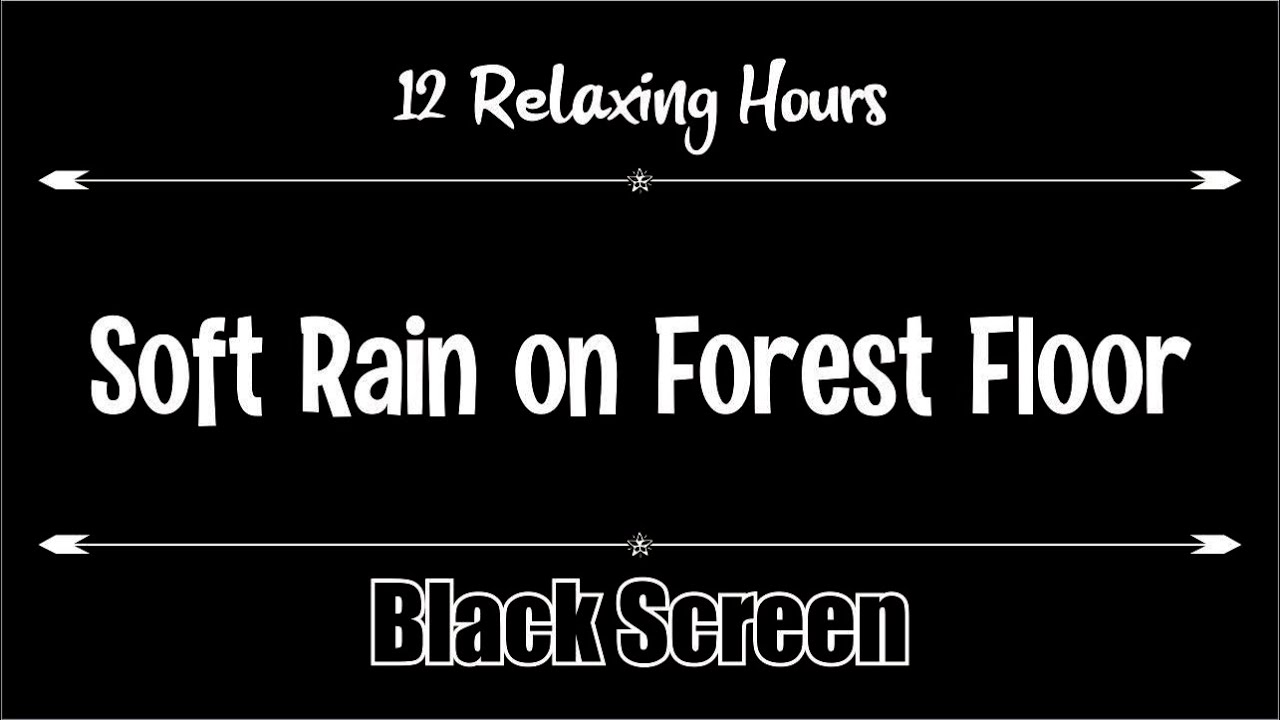 Soft Rain on Forest Floor 12 hours, Dark Screen, Relaxation, Sleep, Calm, Relax,  Black Screen