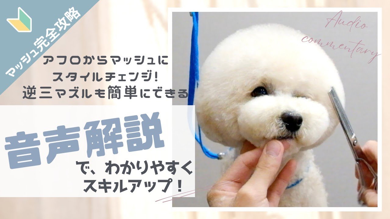 【音声解説】見なきゃ損！アフロからマッシュにスタイルチェンジ！