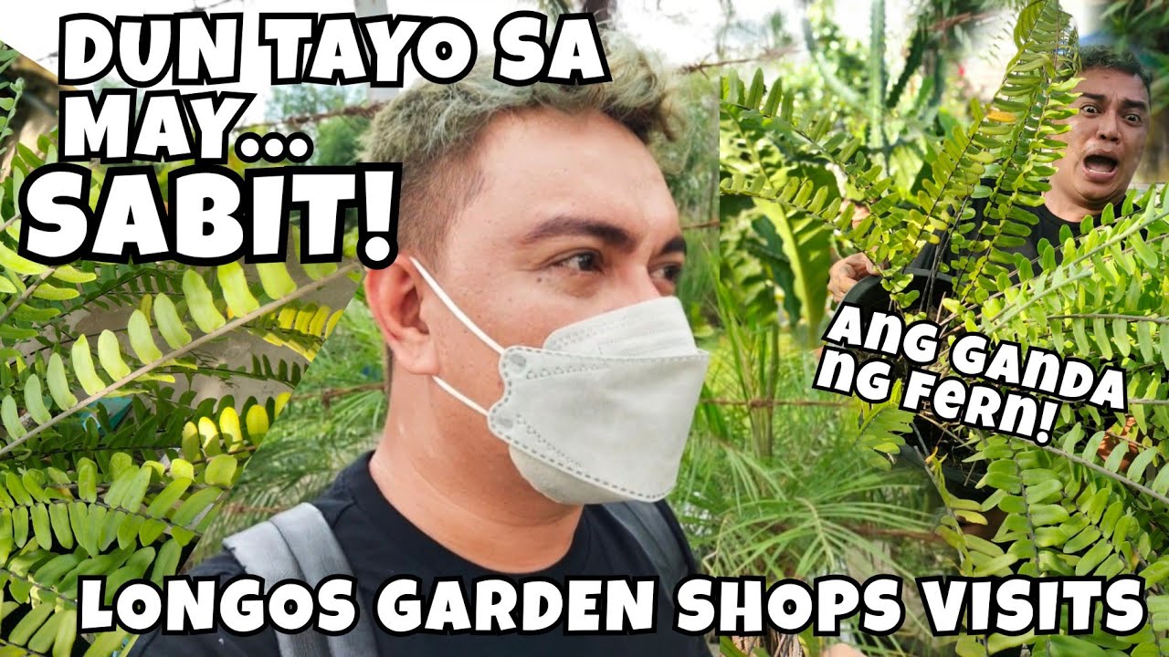LONGOS GARDEN SHOPS TOUR | BUYING FERN PLANTS FOR NEW GARDEN PROJECT