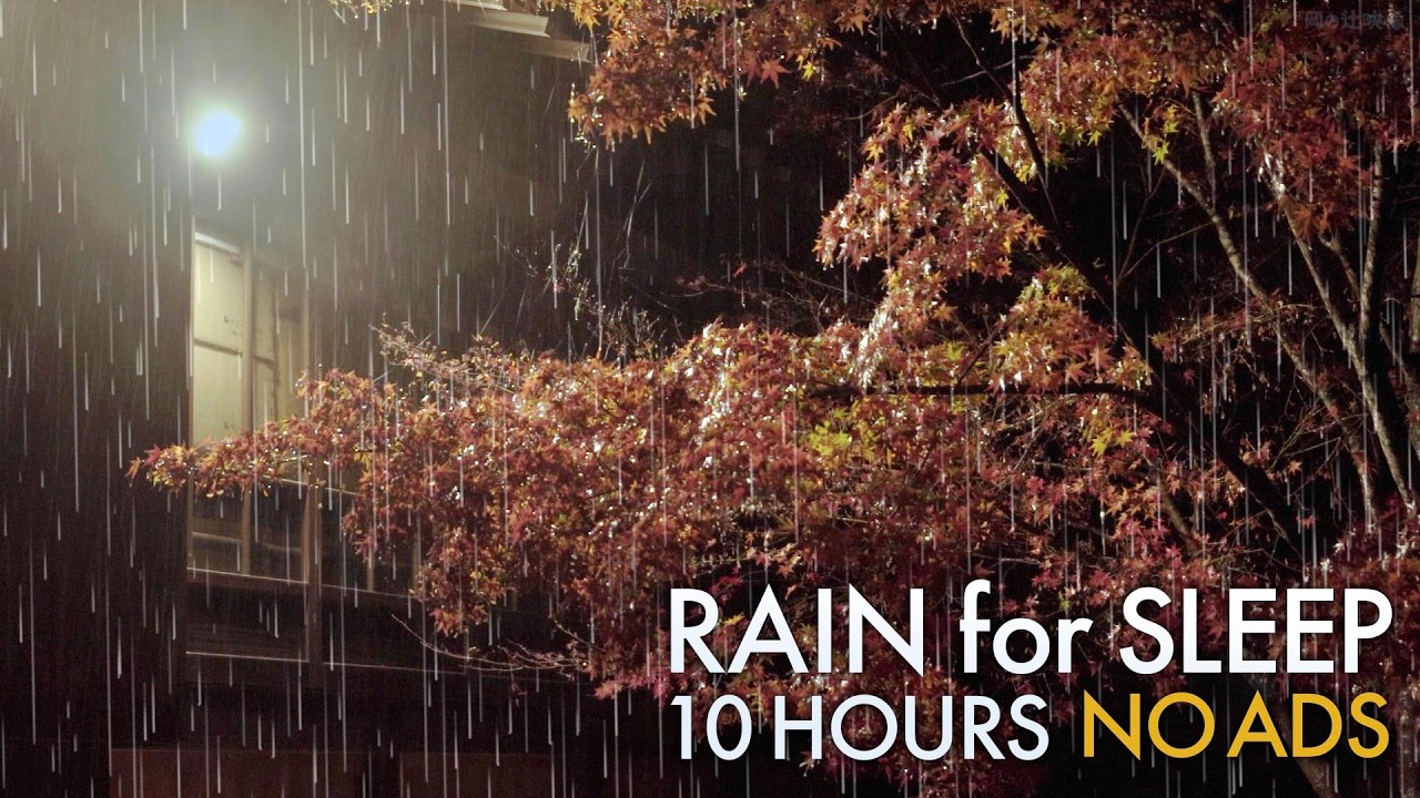 Midnight Rain on Red Maples: Autumn Zen for Deep Sleep【10h】