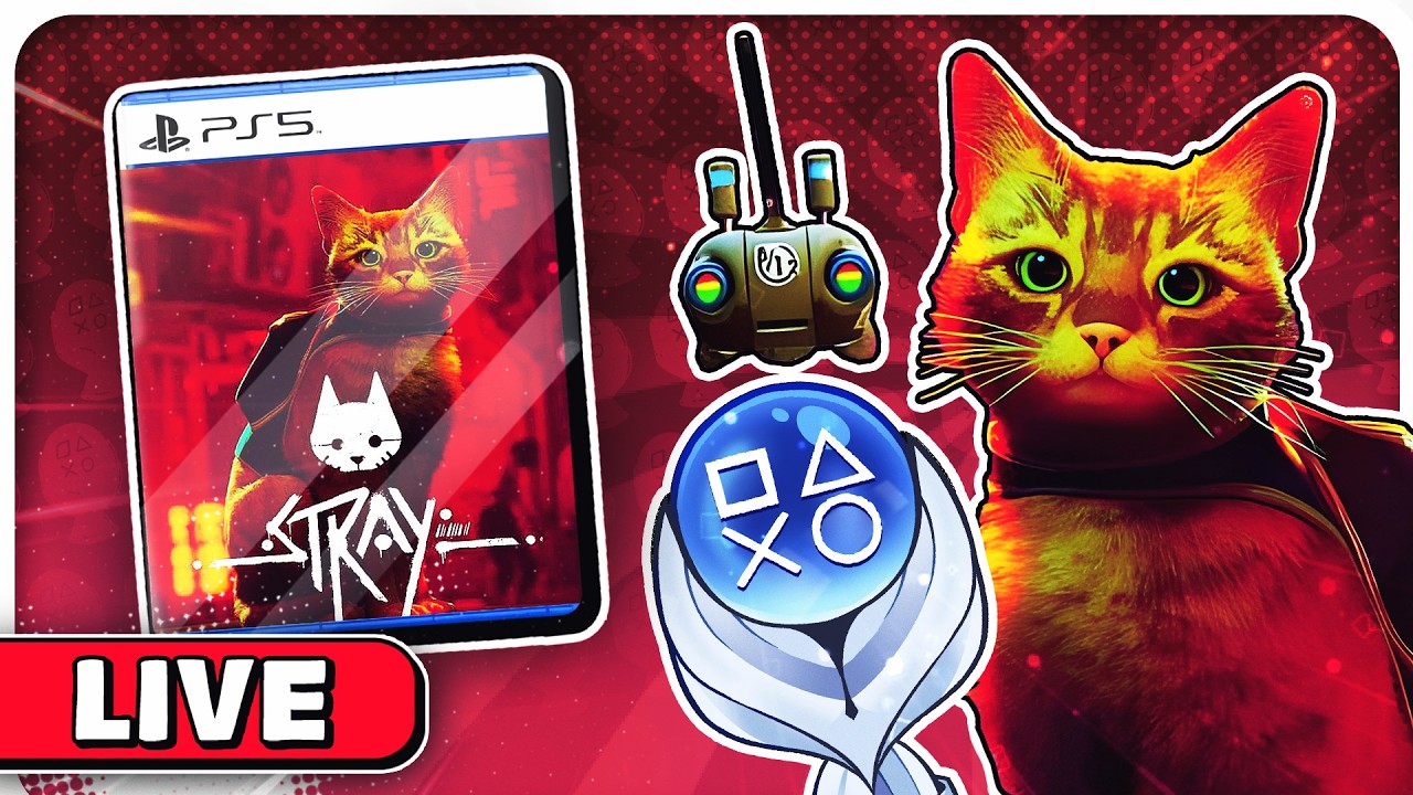 🐾 CONTINUANDO A PLATINA DO STRAY! 🐱