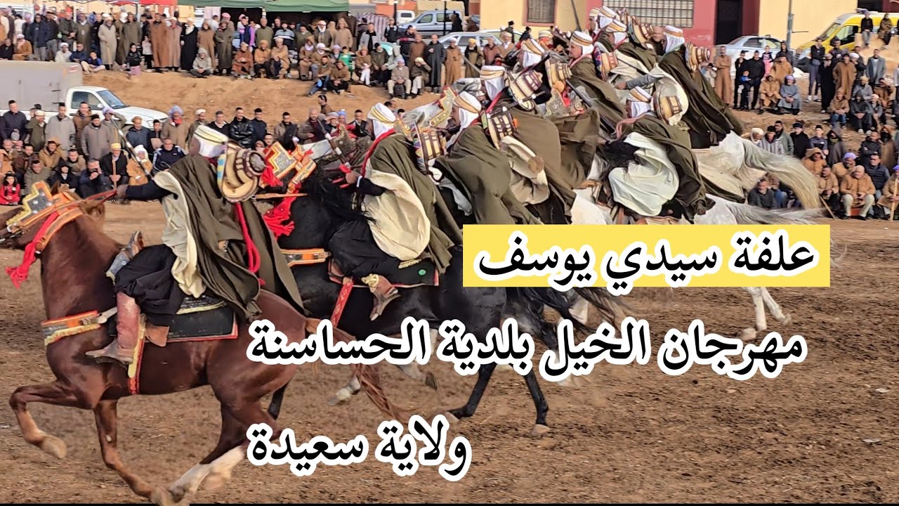 مهرجان الخيل الحساسنة ولاية سعيدة علفة سيدي يوسف 