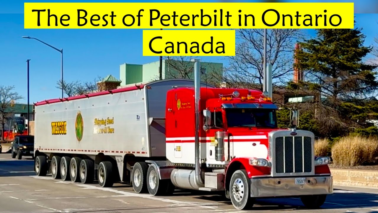 The Best of Peterbilt | Ontario, Canada#37🇨🇦 #peterbiltpower #truckspotting