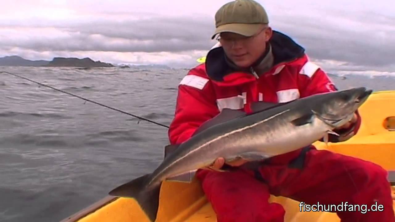 Angeln bis die Arme schmerzen - Unterwegs in Vesterâlen Norwegen