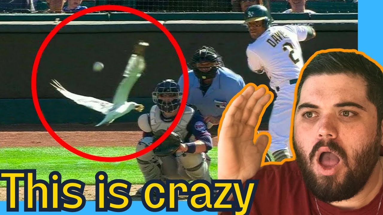 Brit Reacts: MLB's Astonishing 1 in a Million Moments