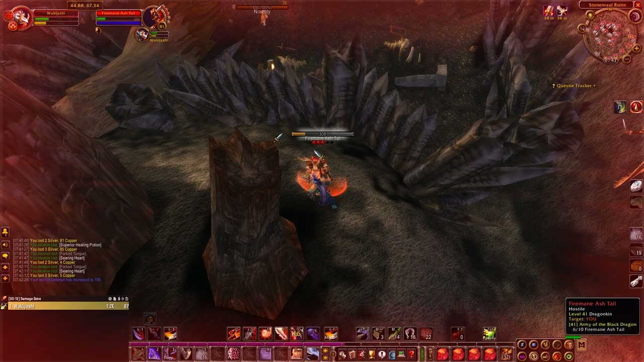rogue vs feral TBC